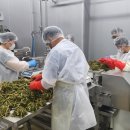 약수산채마을 이미지