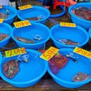 풍성수산 이미지