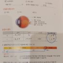 예빛안과의원 이미지