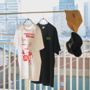 반짝일개 이미지