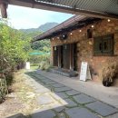 유정1955 이미지