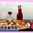 백마동물병원