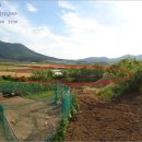 동리보건진료소 이미지