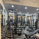 신사 라이크짐 이미지