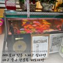 종로· 진골목 | 대구 중구 - 레트로감성의 끝판왕 종로 진골목의 역사 &#39;미도다방&#39; 내돈내산 후기