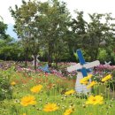 향기원 풍차 이미지