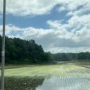 금강송면 복지회관 이미지