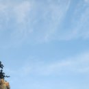 망양정로1 (지방도917) | 260214 동해안에서 촛대바위와 망양정을 만나다