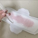 춤추는 고래 이미지