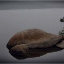 흐린 호수[속초 영랑호, 보광사] 이미지