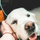 365중앙약국 이미지