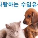 아인덴탈 이미지