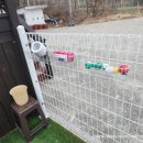 경포딩가펜션