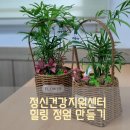 [정신건강 지원센터] 힐링정원 만들기 체험 / 광주 포레스타 원예수업