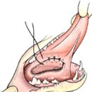 박순석동물메디컬센터 이미지