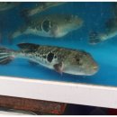 든든한한끼 이미지