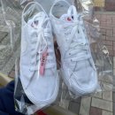 일신세탁 이미지