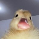 (주)프라임메디칼 | 김포 굿프라임메디컬의원 건강검진센터 내돈내산 후기 / 생애 첫 위대장내시경 / 내시경 약은 제발 알약...