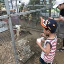 새 하나농장 이미지