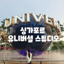 불나닭 | 싱가포르 여행 :: 유니버셜 스튜디오 오픈런 후기(놀이기구, 맛집 KT&#39;s Grill, 무료 사물함 위치)