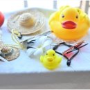 거제비치블루애견펜션 이미지