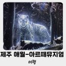 5월 제주 아르떼 뮤지엄 애월 실내 관광지 추천 - 입장료 제주투어패스