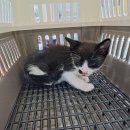 수암동물병원 이미지