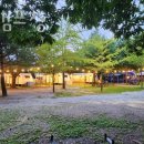 pet56고9166 | 양양숙소 양양캠프장 양양가볼만한곳 강원도해수욕장 근처 편리한 위치 가성비 숙소