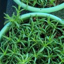 고수7리 경로당 이미지