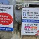숟가락젓가락(진하) | 울산 진하꽃게전문점 내돈내산 후기 - 대구에서 일부러 찾아간 게국지 맛집