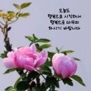 향기 - 사상구 주례동 | 향기