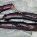 용동농장 이미지