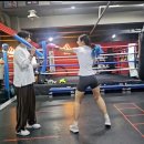 스타 복싱 다이어트 | [강남 복싱 다이어트]홍수환스타복싱 1:1레슨 여자초보 후기/역삼 운동/선릉역 pt 1회차