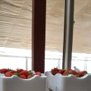 MTA 하늘태권도 이미지