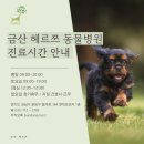 금산헤르쯔 동물병원 이미지