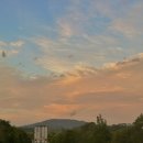 박성현농장 | Week 8 호주 워킹홀리데이 🇦🇺