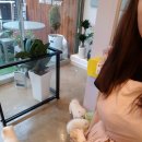 까르르멍멍 이미지