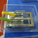 밥풀과학 이미지