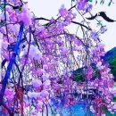 은혜여인숙 - 금천구 남부순환로112길 64 | 은혜여인숙