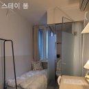 스테이 봄 이미지