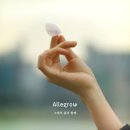 알레그로 - 강릉시 산양큰길24번길 2 | 알레그로