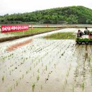 강선농장 이미지