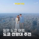 일본 도쿄 전망대 비교 추천 도쿄 가볼만한곳 스카이트리 시부야스카이