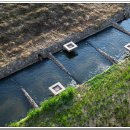 선우개발 이미지