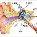 이수경희한의원 이미지