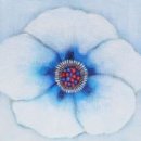 COSMOS/별,꽃 이미지