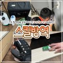 스킬만(주) | 전주 방역업체 추천 | 이사 전 바퀴벌레 퇴치&amp;소독 후기_“스킬방역”