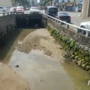 정량천 생태하천 이미지