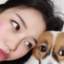 인생개컷 이미지