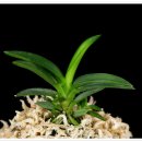 서반농장 이미지